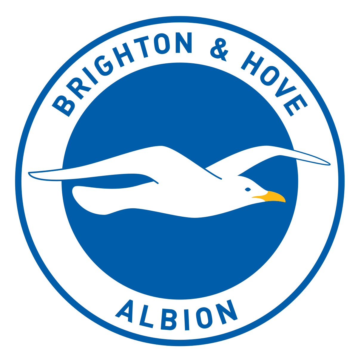 Brighton & Hove Albion FC