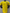 CAMISETA ECUADOR 2026 1A EQUIPACION