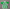 CAMISETA REAL BETIS 2026-2027 1A EQUIPACIÓN