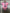 BODY BEBE FC Barcelona ROSA