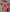 BODY BEBE ATLETICO DE MADRID
