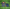 KIT NIÑO INTER MILAN 2025/26 3A EQUIPACION