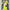 CAMISETA BORUSSIA DORTMUND  2025/26 2A EQUIPACION