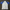 CAMISETA JAPON  EQUIPACION ESPECIAL
