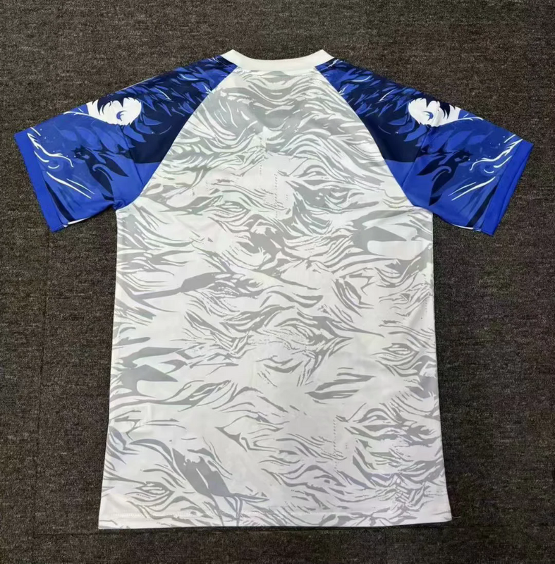 CAMISETA JAPON  EQUIPACION ESPECIAL