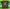 CAMISETA BORUSSIA DORTMUND  2026/27 2A EQUIPACION