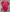 BODY BEBE REAL MADRID ROSA