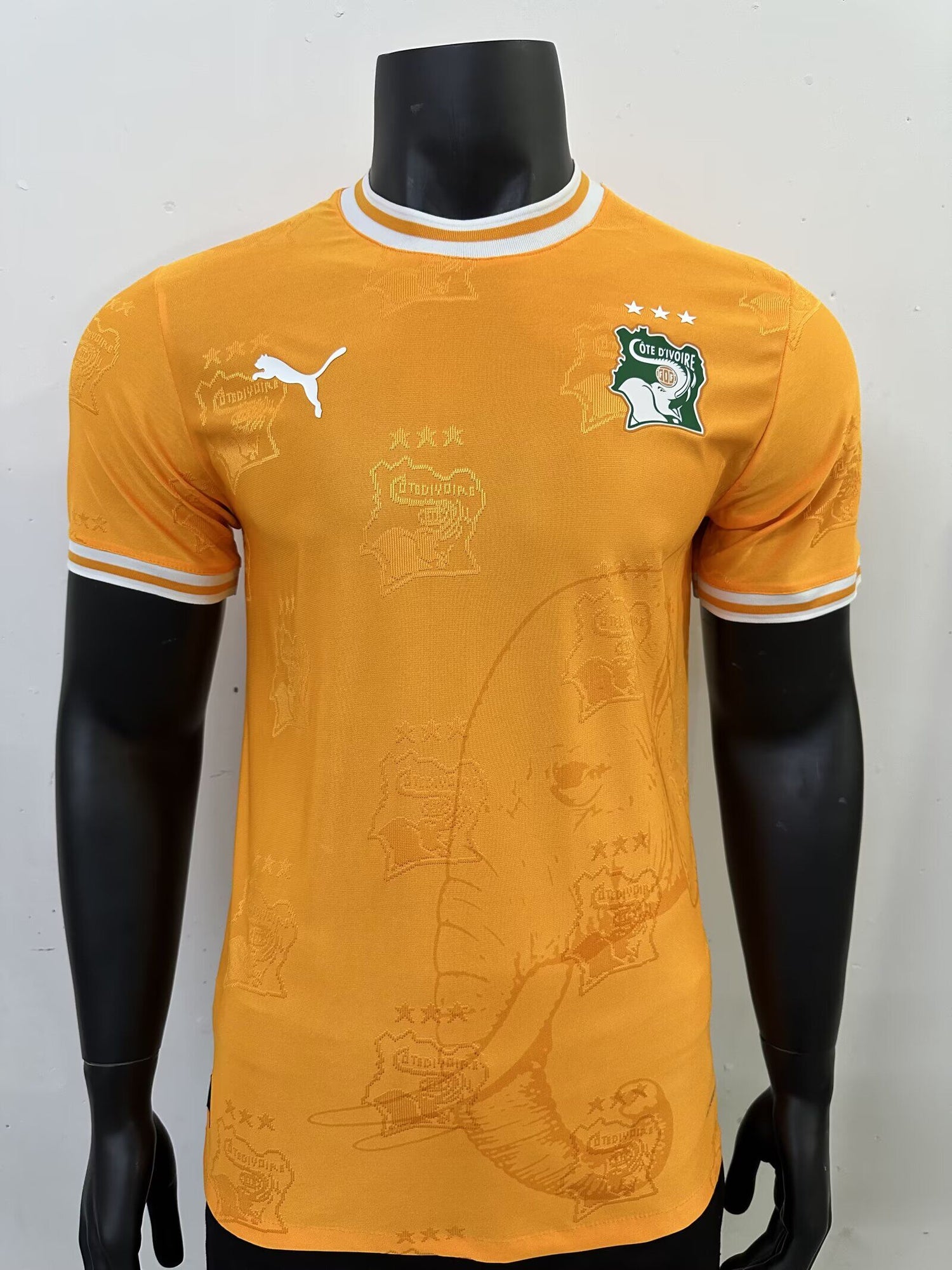 CAMISETA COSTA DE MARFIL 2025 1A EQUIPACION