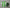 KIT NIÑO REAL BETIS 2025-2026 1A EQUIPACIÓN