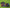 KIT NIÑO FC BARCELONA 2024-25 2A EQUIPACIÓN