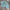 KIT NIÑO REAL BETIS 2025-2026 2A EQUIPACIÓN (copia)