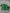 KIT NIÑO REAL BETIS 2026-2027 2A EQUIPACIÓN